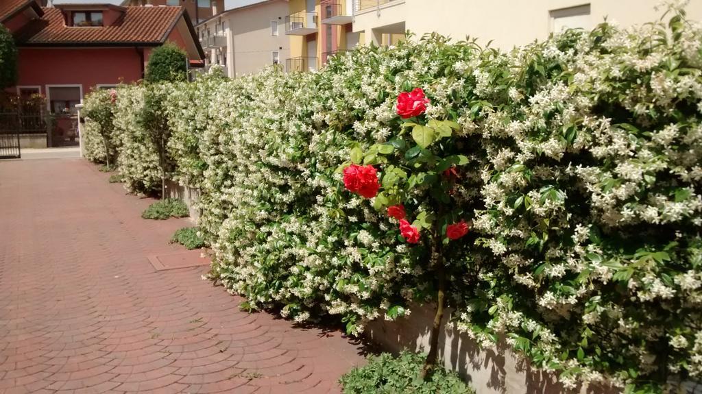 Appartamenti Bedin, Jesolo Eksteriør billede